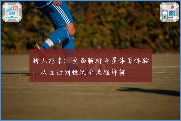 新人指南：全面解析海星体育体验，从注册到畅玩全流程详解