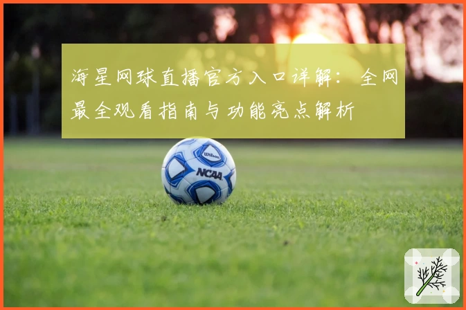 海星网球直播官方入口详解：全网最全观看指南与功能亮点解析