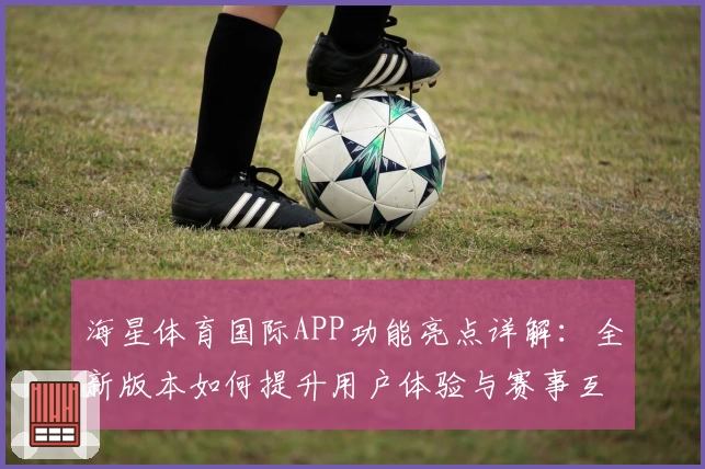 海星体育国际APP功能亮点详解：全新版本如何提升用户体验与赛事互动
