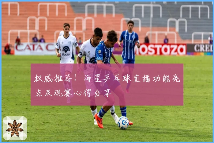 权威推荐！海星乒乓球直播功能亮点及观赛心得分享